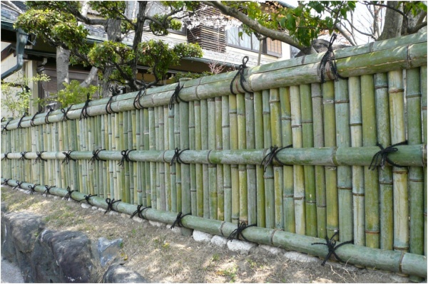 青竹銀閣寺垣